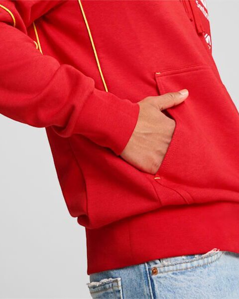 SF TEAM HOODIE -A67