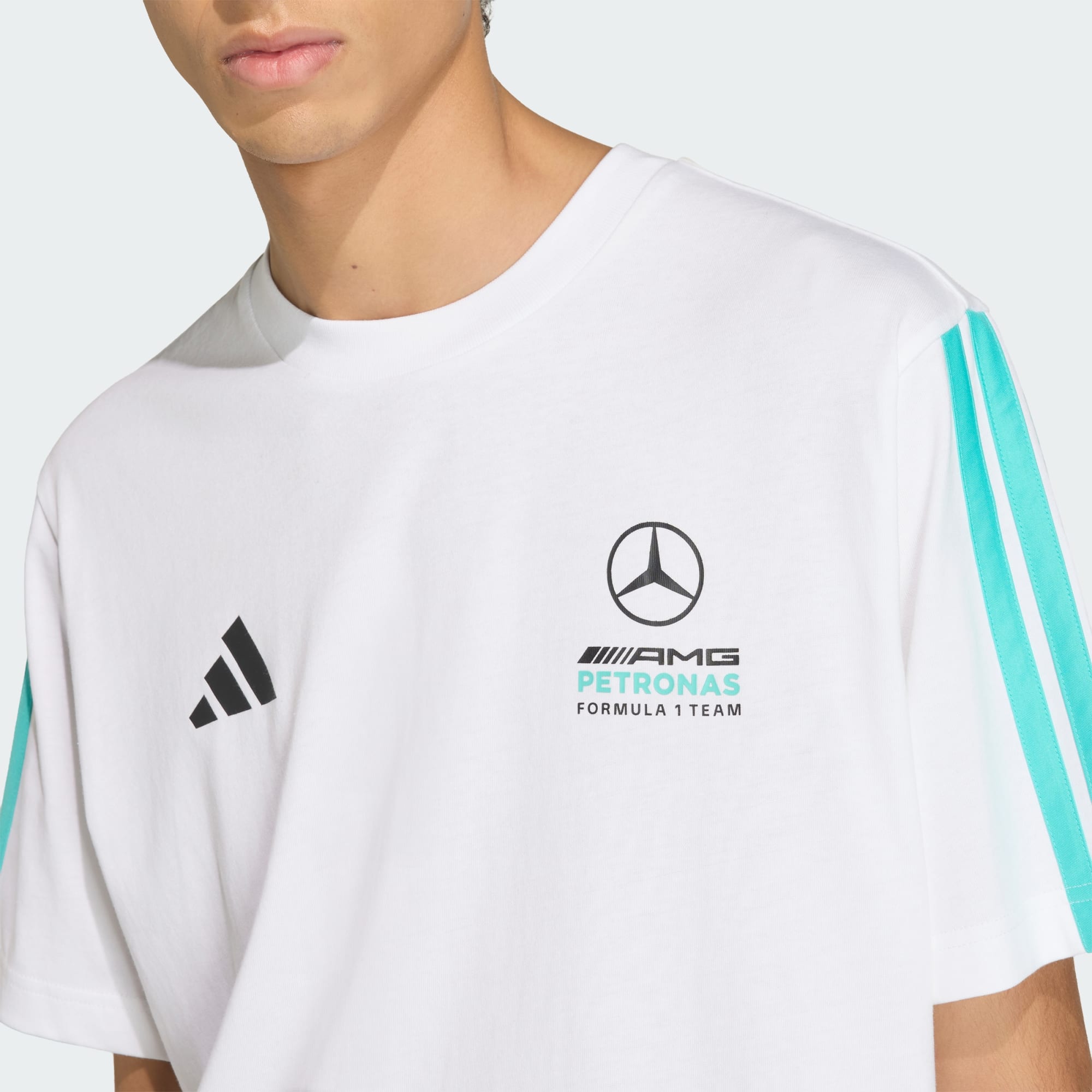 MERCEDES - AMG PETRONAS FORMULA 1 TEAM DNA TEE -A85 - Imagen 5