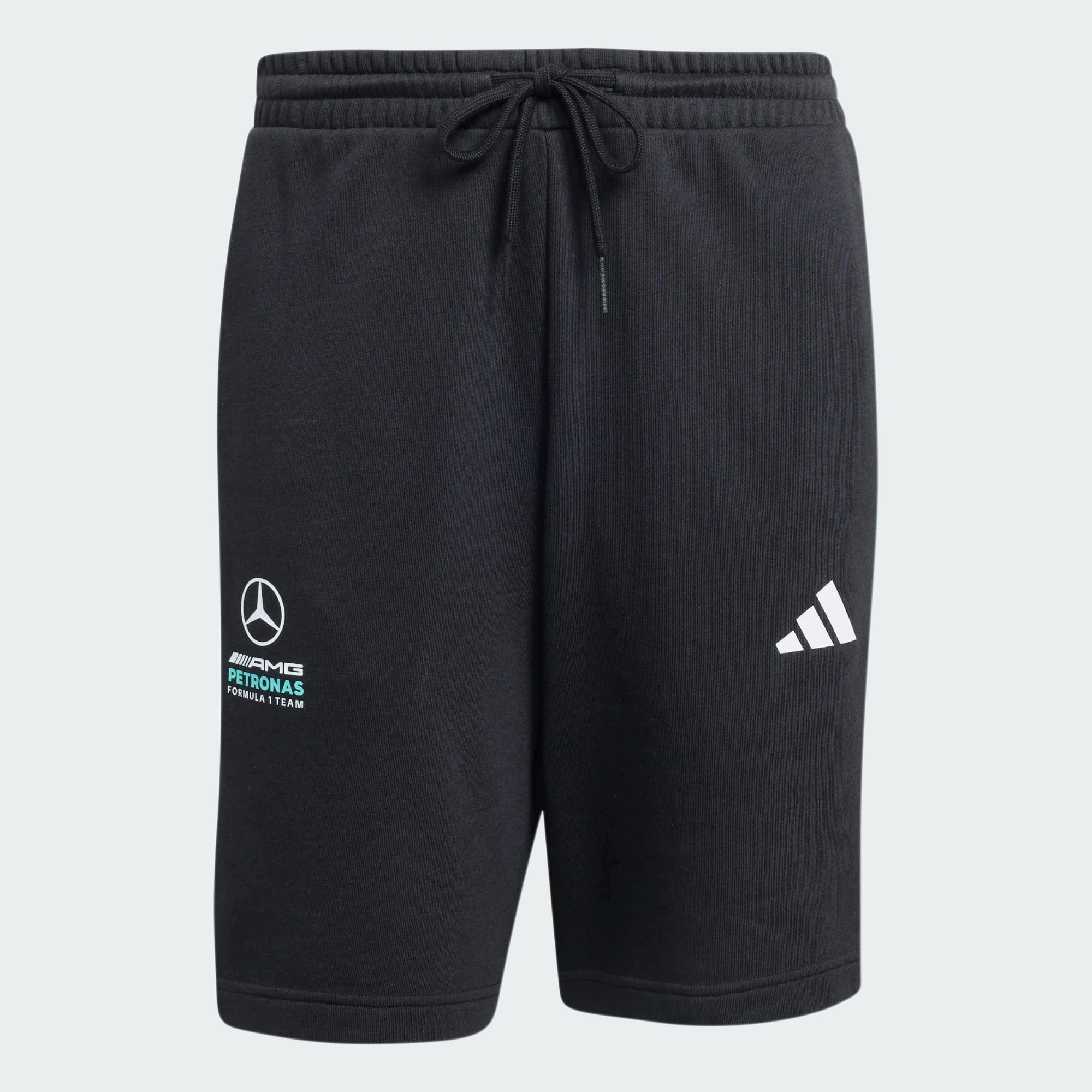 Mercedes - AMG Petronas Formula 1 Team DNA Short -A85