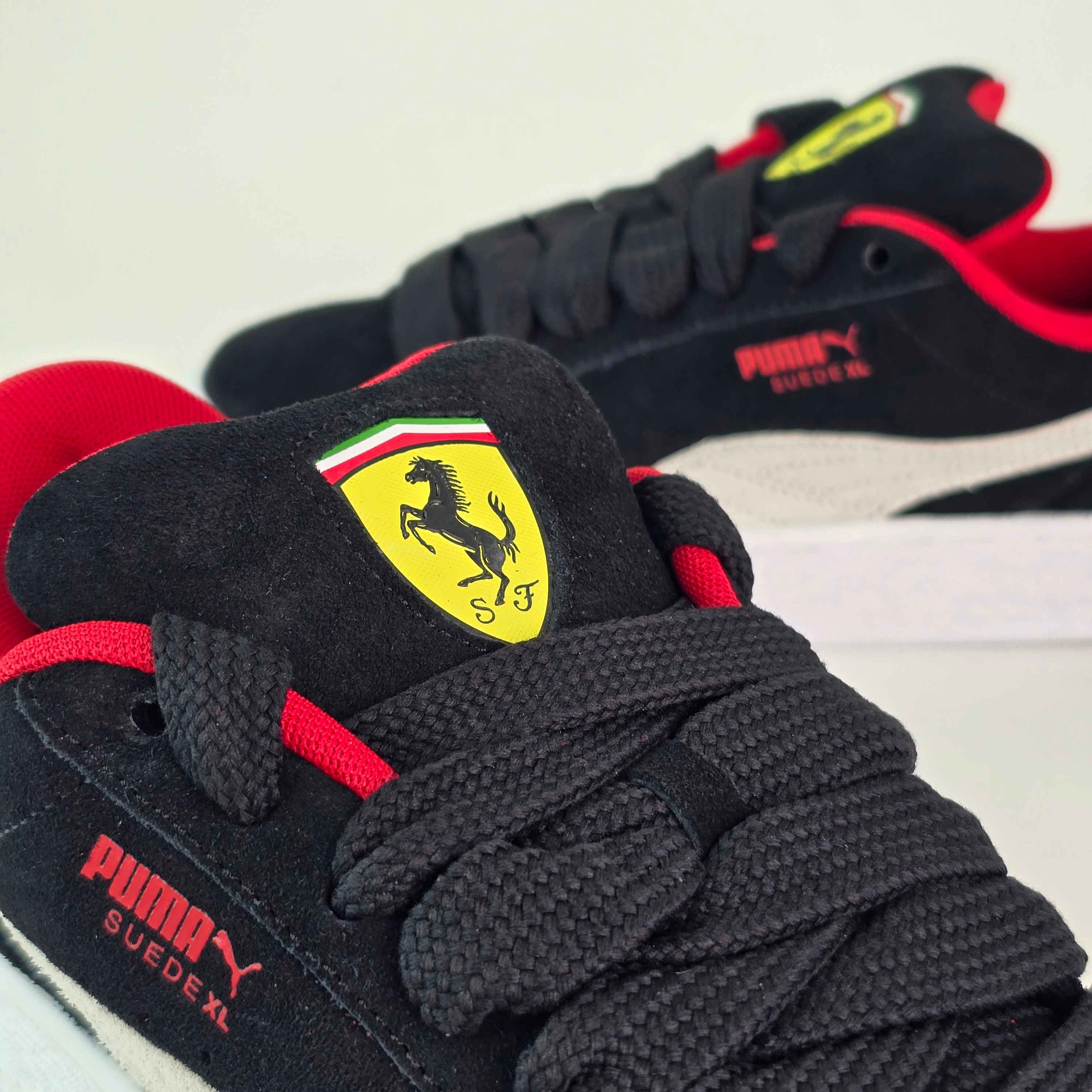 FERRARI SUEDE XL -C9