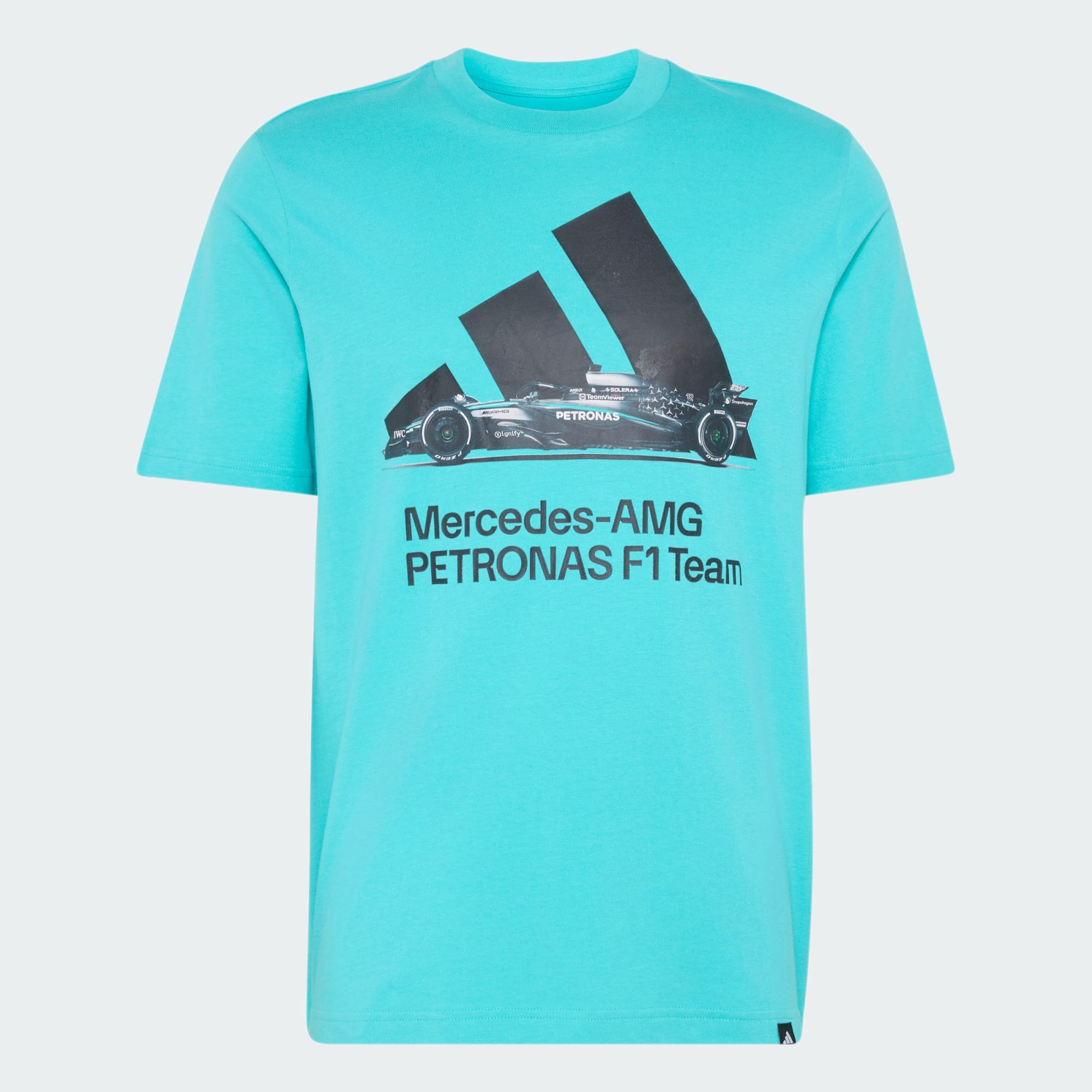 Mercedes-AMG Petronas F1 Team Graphic -A82